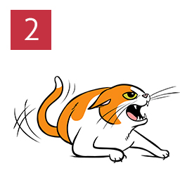 A cat illustration of an angry cat lying down.