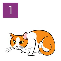 An illustration of a cat crouching.